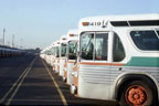 AC Transit bus 419 at East Oakland Yard in January 1979.