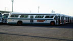 AC Transit bus 528 at East Oakland Yard in January 1979.