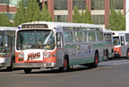 AC Transit bus 903 at San Francisco Terminal in August 1987