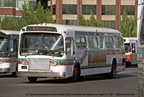 AC Transit bus 904 at San Francisco Terminal in August 1987
