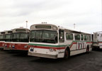 Retired bus 242 in Hayward Yard on May 11, 1991.