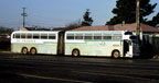 XMC-77