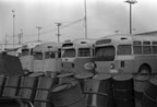 Retired AC Transit buses at 45th and San Pablo in October 1970.