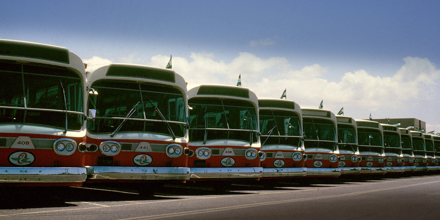 Row of vintage bus for 60th anniversary