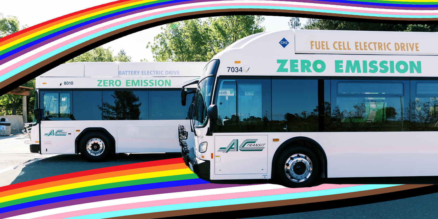 Two buses with pride flag colors waving across image