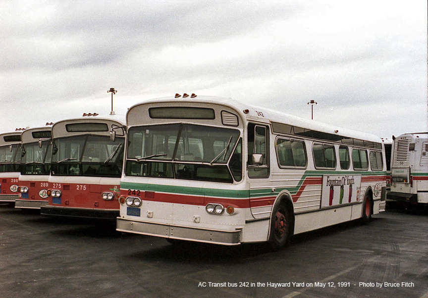 Retired bus 242 in Hayward Yard on May 11, 1991.